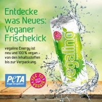 Bio Energy Drink vegan von vegalino vegane Getränke