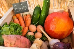 Man erkennt auf dem Foto Bio-Gemüse in einem Korb. Links in der Ecke ist ein kleines Schild, auf dem mit Kreide geschrieben "Bio" drauf steht. In dem hellen Korb aus Holz befindet sich Zucchini, Kürbis, Knoblauch, Zwiebel, Karotten und vieles mehr.
