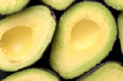 Auf dem Foto sind halbaufgeschnittene, reife Avocados zu sehen. Sie liegen so eineinander, dass das Hinterteil der einen Avocado und das Vorderteil der anderen Avocado sich berühren. Sie sind innen gelb und außen grün.