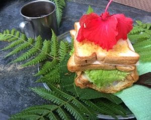 Ein Sandwich aus Weizentoast drapiert auf großen Blättern. Belegt mit geschmolzenem Käse, Salat und einem Spiegelei. Darauf liegt eine große rot-pinke Blume. Daneben ist in einem weißen, leicht tranzparenten Kasten in grüner Schrift geschrieben: Ausländische Einflüsse auf Snacks.