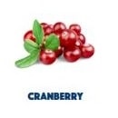 Cranberry Beeren Zutaten