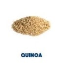 Quinoa Zutaten