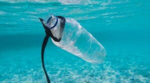 Platikflasche Meer Verschmutzung