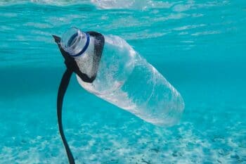 Platikflasche Meer Verschmutzung