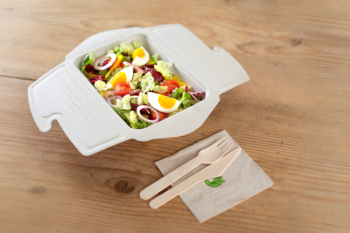 To Go Box aus Zellstoff von packVerde mit Salat und Holzbesteck / snackconnection