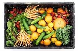 Verschiedene Sorten von Obst und Gemüse sind aus der Vogelperspektive in einer Kiste zu sehen. Unter anderem Gurken, Kürbis, Erdbeeren, Möhren und Orangen.