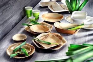 Snack Geschirr und Verpackungen aus Palmblatt von Bionatic