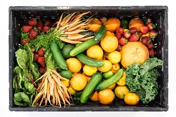 Auf dem Bild ist eine Kiste zu sehen, in welcher Gemüse zu sehen ist. vegetarisch und vegan
