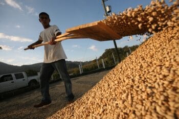 Fairtrade Kaffee verarbeiten