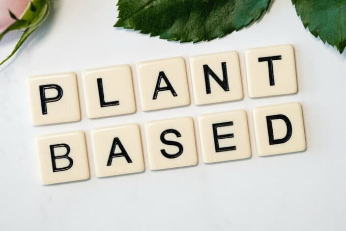 Plant Based Wörter auf Holzwürfel / snackconnection