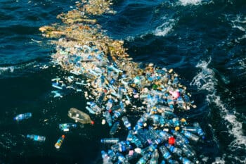Plastikflaschen im Meer