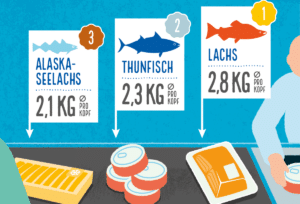 Grafik Thunfischkonsum