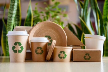 Pappgeschirr nachhaltig Recyclebar
