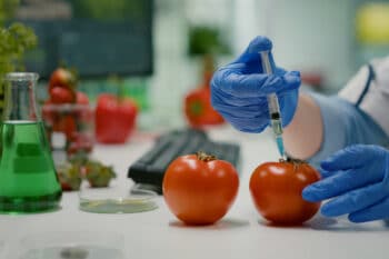 Wissenschaft und Lebensmittel Tomaten gespritzt